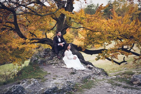 sesja ślubna jesień, fotografia ślubna Zawiercie, para młoda na tle jesiennego drzewa,zdjęcia pary młodej, zdjęcia ślubne plener