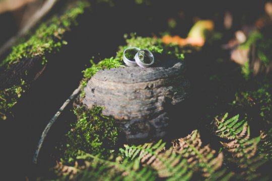 sesja ślubna w lesie, obrączki, fotograf ślubny Katowice, sesje ślubne Śląsk